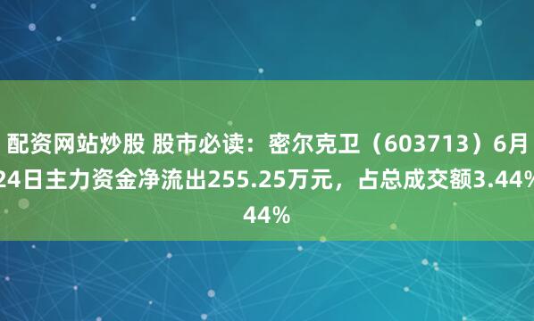 配资网站炒股 股市必读：密尔克卫（603713）6月24日主力资金净流出255.25万元，占总成交额3.44%