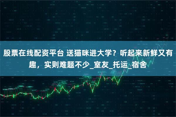 股票在线配资平台 送猫咪进大学？听起来新鲜又有趣，实则难题不少_室友_托运_宿舍