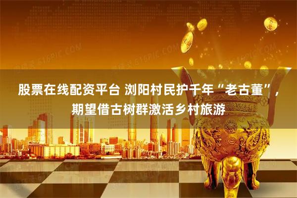 股票在线配资平台 浏阳村民护千年“老古董”，期望借古树群激活乡村旅游